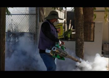 Desmiente Salud decesos por dengue en Sonora