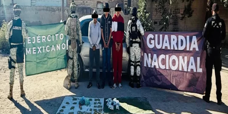 Aseguran mil 590 dosis de cocaína y metanfetamina en Sonora; hay 3 detenidos