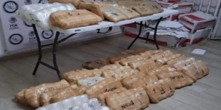 Mesa Estatal de Seguridad asegura 13.7 millones de dosis de fentanilo y cristal en Huatabampo