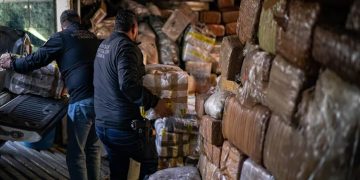 ¿Por qué persiste el crimen organizado en América Latina?