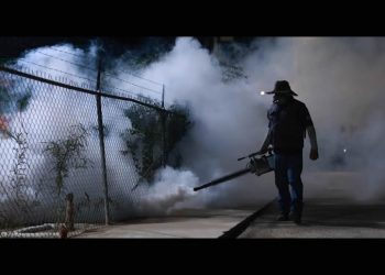 Sonora fumiga más de 154 mil hectáreas contra el mosco del dengue