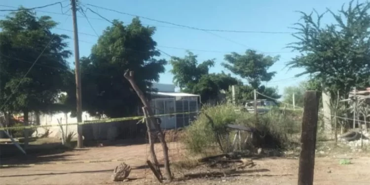 Detenido adulto mayor de 64 años tras asesinar a su pareja en Huatabampo