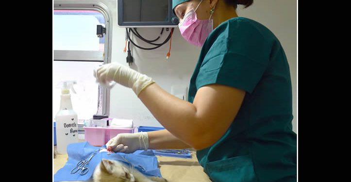 Informa Instituto de Protección y Bienestar Animal jornadas gratuitas de esterilización