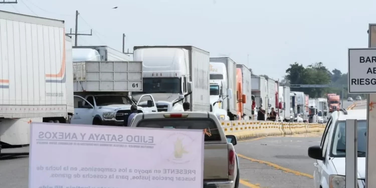 Bloqueos carreteros de Sinaloa y Sonora provocan perdidas de más de 300 millones de pesos en hortalizas