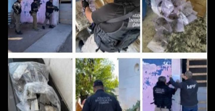Capturan a 231 presuntos delincuentes en operativos realizados en 14 municipios de Sonora: Mesa Estatal de Seguridad