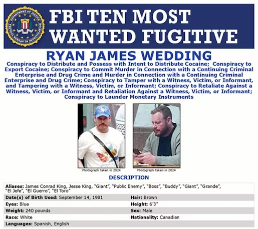 Ryan Wedding, de estrella olímpica a líder narco; EU lo vincula con el Cártel de Sinaloa