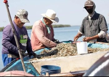 Impulsan cambios a Ley de Pesca para enfrentar impactos del cambio climático