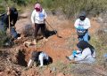 Colectivo de buscadoras encuentran cuatro fosas clandestinas con restos humanos en Hermosillo