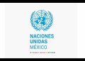 ONU solicita aclaraciones a México sobre proyectos energéticos previstos en el Golfo de California