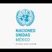ONU solicita aclaraciones a México sobre proyectos energéticos previstos en el Golfo de California