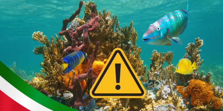 Biólogo lanza advertencia de los 20 animales marinos en peligro de extinción en México