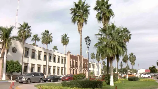 Caso Julio César Chávez Jr.: proxima audiencia sera el 24 de febrero en Hermosillo