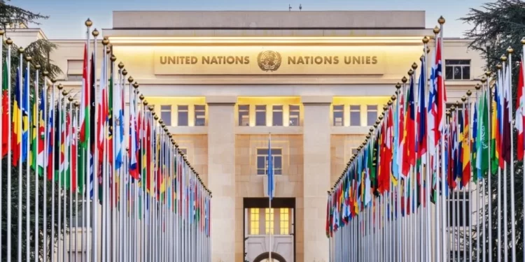 ONU alerta a México por daños al ambiente con megaproyectos de gas fósil licuado en el Golfo de California