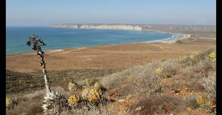 ONU alerta a Sheinbaum: Megaproyectos en Golfo de California ponen en riesgo a millones de personas