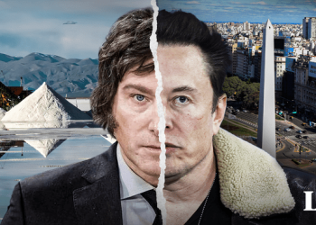 Elon Musk busca explotar el litio en Argentina sin controles o regulaciones, según especialista argentino