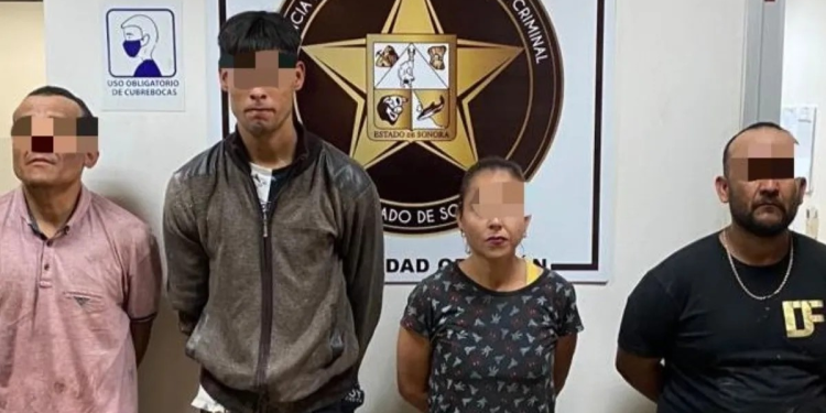 Cuatro personas detenidas y droga incautada en cateo de casa en Ciudad Obregón