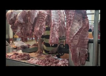 Sonora destaca en la producción carne de cerdo y huevo ubicándolo en los primeros tres lugares a nivel nacional