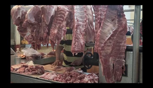 Sonora destaca en la producción carne de cerdo y huevo ubicándolo en los primeros tres lugares a nivel nacional