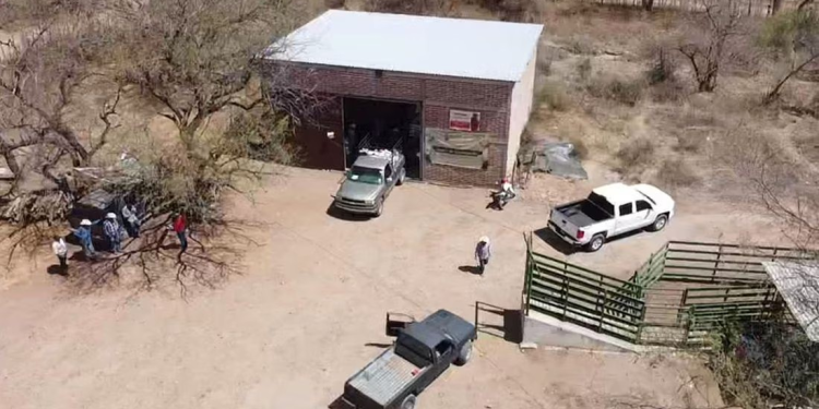 En plena veda electoral, candidatos morenistas entregan fertilizantes de Segalmex a agricultores de Álamos