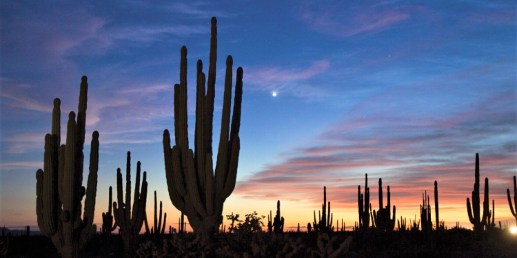 Energías renovables y litio temas de exposición de alumnos de la Universidad de Sonora en el Arizona Student Energy Conference