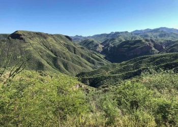 SilverCrest Metals: Informe ESG 2023 destaca logros ambientales y sociales en Las Chispas