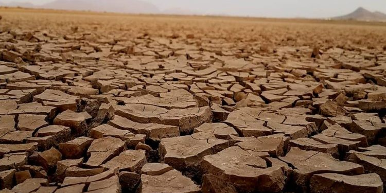 Reportan disminución de sequía extrema en Sonora