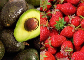 Sinaloa y Sonora, en el top 10 de las entidades con más exportaciones en México