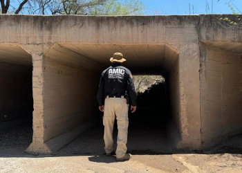 Hallan sin vida a señora reportada desaparecida en Sonora; que murió por el calor