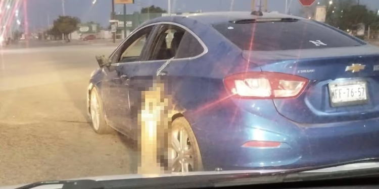 Sonora: mujer se ampara para no ser detenida por llevar encadenada a perrita y arrastrarla desde auto en movimiento