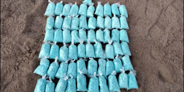 Golpe millonario al narco en Sonora: decomisan más de un millón de píldoras de fentanilo en la frontera