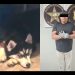 En Nogales, hombre asesina a un “Husky” porque el canino le mató una gallina