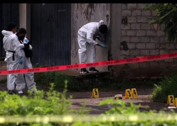 Esta es la estrategia que podría disminuir delitos de grupos criminales en México, según Edgardo Buscaglia