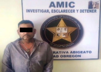 Prisión preventiva para un hombre en Sonora tras dar un machetazo a un perro