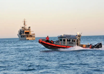 UNESCO prevé dejar a México en lista negra por no proteger hábitat de la vaquita marina