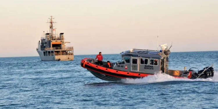 UNESCO prevé dejar a México en lista negra por no proteger hábitat de la vaquita marina