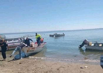 Alertan por presencia de tiburones en costas del sur de Sonora