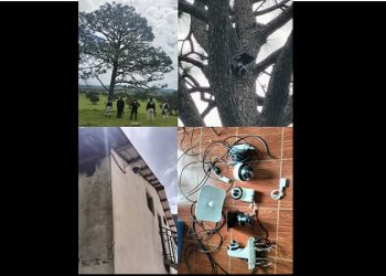 Narco instala su propio “Big Brother” para mantener vigilados a los cuerpos de seguridad en Yécora