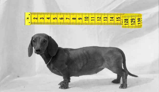 Porno, complejos y centímetros: ¿qué lleva a los hombres a mentir sobre el tamaño de su pene?