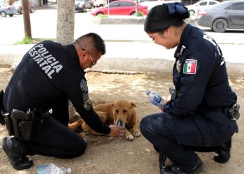 Elementos de la Policía Estatal recibieron capacitación en el tema de maltrato animal