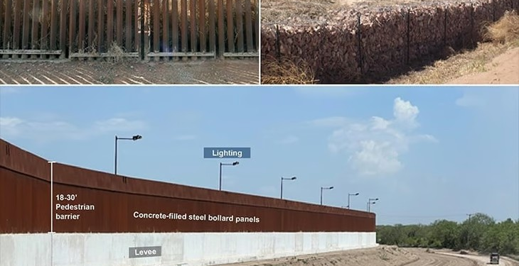 Naturaleza interrumpida: el impacto del muro fronterizo entre EE.UU. y México en la fauna salvaje