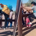 Migrantes denuncian maltrato de la Patrulla Fronteriza en cruce fronterizo de Arizona