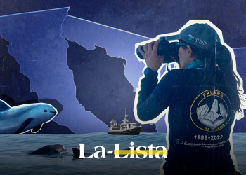 Pamela Martínez, la única observadora mexicana de vaquita marina