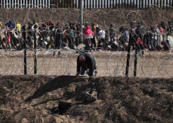 Contrabandistas utilizan remolques de ganado para introducir fentanilo en EEUU por México