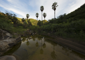 Después de 2 años de espera, la ley de protección de la naturaleza de Sonora se acerca a la realidad
