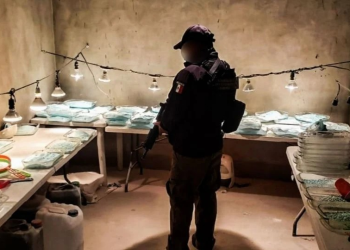 BC, Sonora, Sinaloa y Chihuahua, con mayor consumo de fentanilo: Conasama