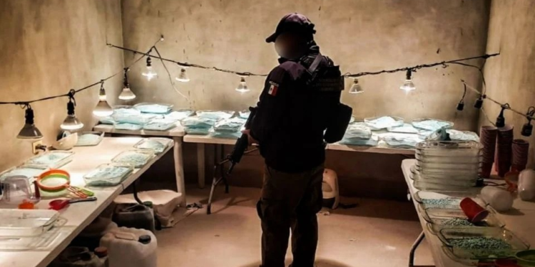 BC, Sonora, Sinaloa y Chihuahua, con mayor consumo de fentanilo: Conasama