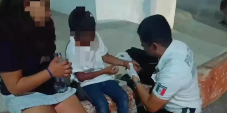 Ataque de Perro Pitbull en Hermosillo a Niño de 1 año; El Dueño Es Vinculado a Proceso