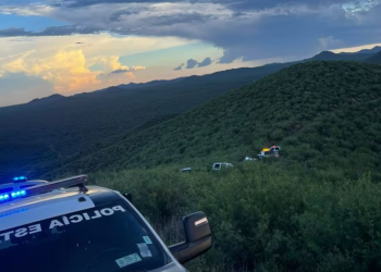 Desmantelan campamento clandestino del crimen organizado en Opodepe