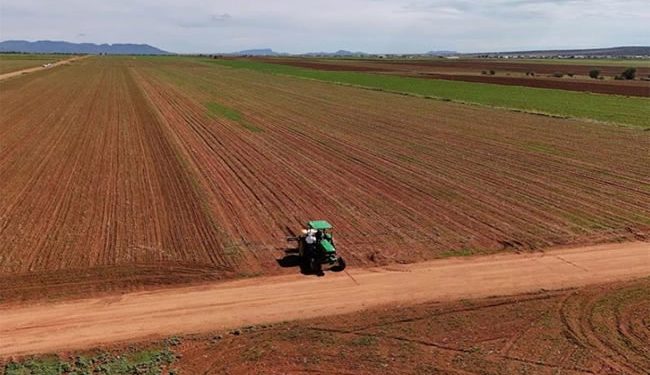 Frijol de EU germina en cocinas mexicanas; sequía afectó, en gran parte, la producción