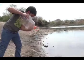 ¡Urge rescatar con agua humedal de La Sauceda!